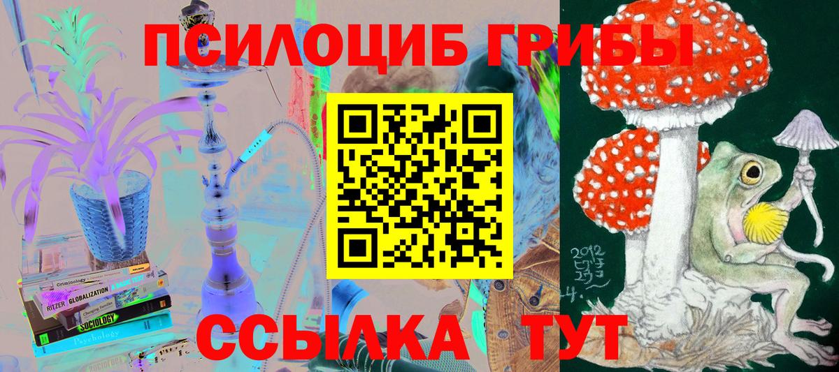 Галлюциногенные грибы Cubensis  Вход с VPN  Омск  Псилоцибиновые грибы мицелий 