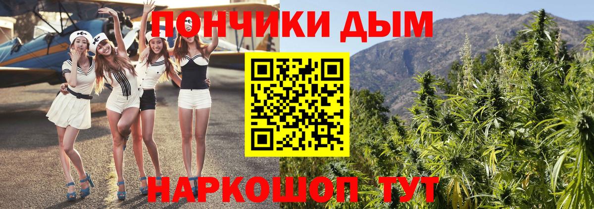 Шишки марихуана гибрид Омск